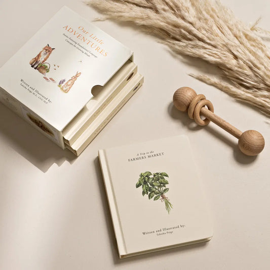Our Little Adventures Board Book Box Set for Kids