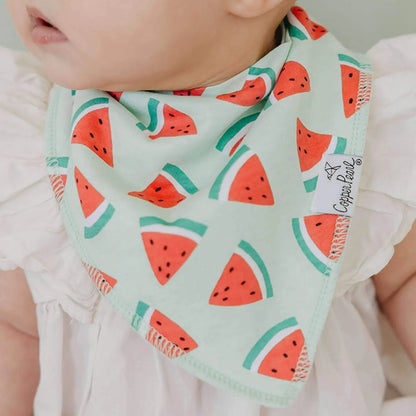 Bandana Bibs - Clementine