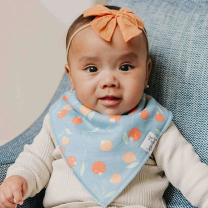 Bandana Bibs - Clementine