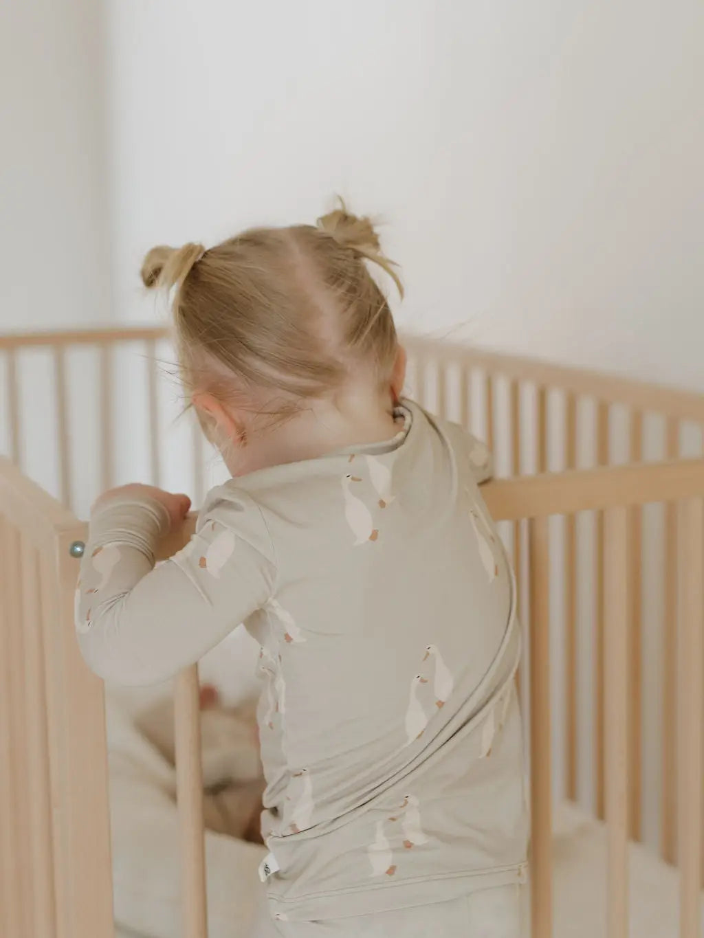 Bamboo Two Piece Pajamas | Silly Goose