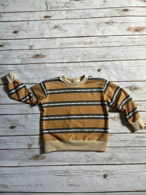 Iowa Vintage Stripe Pullover